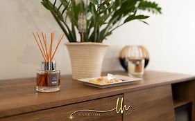 Chaleureux, Lumineux Et Confortable F2 Renove En Plein Coeur De Nancy