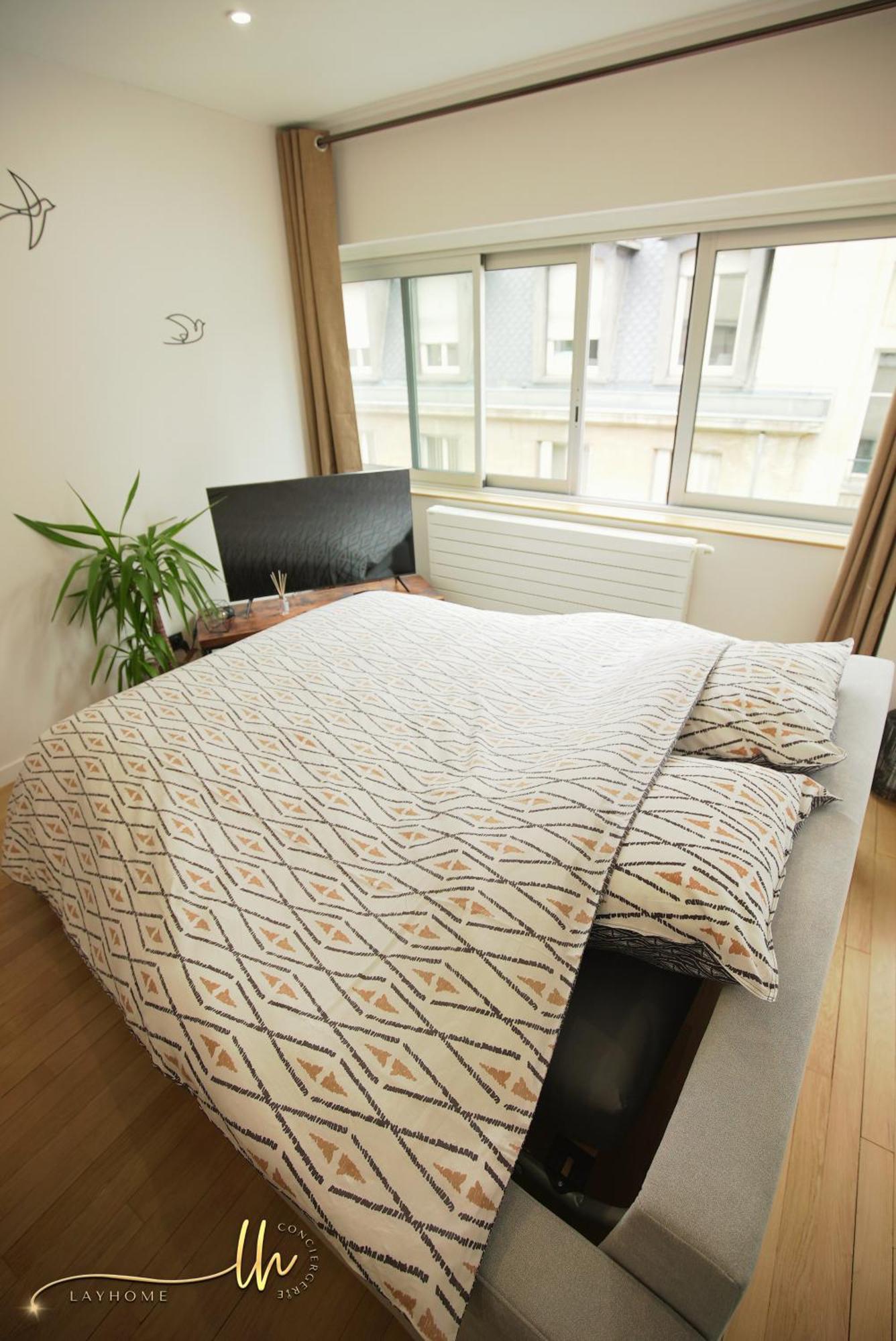 Chaleureux, Lumineux Et Confortable F2 Renove En Plein Coeur De Nancy Buitenkant foto